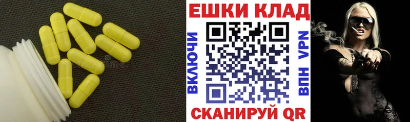 Ecstasy XTC  купить закладку  ссылка на мегу как войти  Новотроицк 