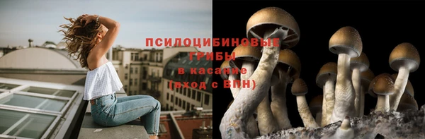 ALPHA-PVP Баксан