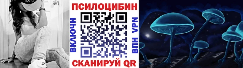 где купить наркотик  Новотроицк  Псилоцибиновые грибы ЛСД 